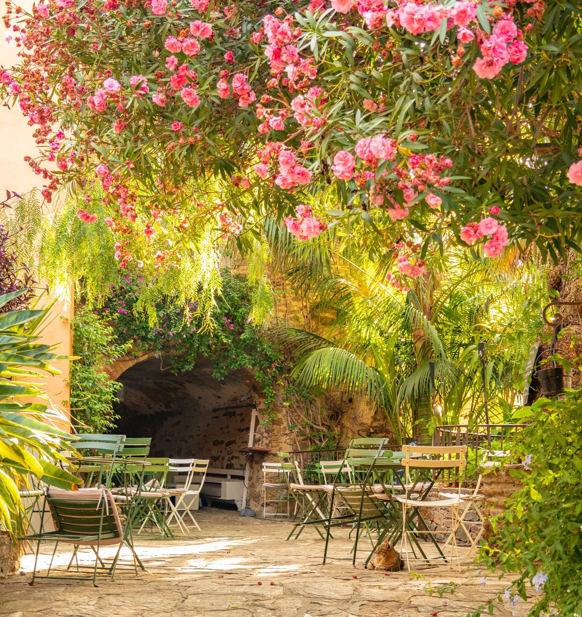 A serene courtyard in Bormes-les-Mimosas, framed by vibrant bougainvillea