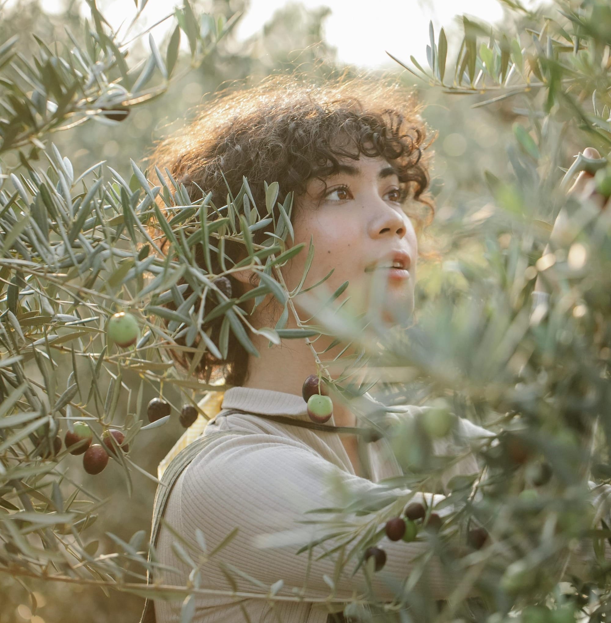 A serene portrait of a woman surrounded by olive trees, capturing the essence of Mediterranean harvest and the beauty of nature.